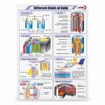 Different Kinds of Cells